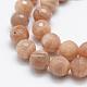 Natural Sunstone Beads Strands US-G-P322-24-10mm-3