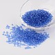 8/0 Glass Seed Beads US-X-SEED-A004-3mm-6-1
