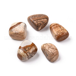 Natural Picture Jasper Beads US-G-K302-A13