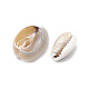 Cowrie Shell Beads US-SSHEL-T004-03-2