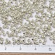 MIYUKI Round Rocailles Beads US-SEED-X0054-RR0181-2