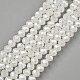 Electroplate Glass Beads Strands US-EGLA-A034-J10mm-A08-1