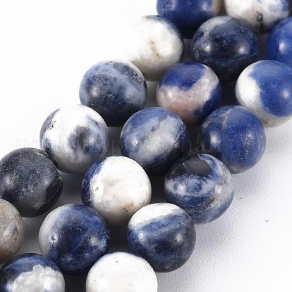 Natural Sodalite Beads Strands US-G-S279-10-8mm-1