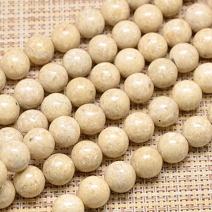 Natural Fossil Round Beads Strands US-G-I108-8mm-1