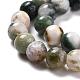 Natural Tree Agate Beads Strands US-G-I199-03-8mm-2