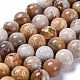 Natural Fossil Coral Beads Strands US-G-D135-8mm-01-1