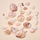 Mixed Style Cowrie Cowry Seashells Oval Spiral Shells with Holes for Jewelry Making US-BSHE-PH0002-1-3