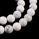 Natural Howlite Beads Strands US-TURQ-G090-8mm-3