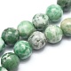 Natural Qinghai Jade Beads Strands US-G-I254-06B-1