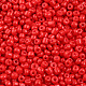 Baking Paint Glass Seed Beads US-SEED-S003-K20-2