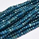 Faceted Rondelle Natural Apatite Bead Strands US-G-F289-48A-1