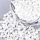 Opaque Glass Seed Beads US-SEED-S023-01A-01-1
