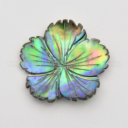 Natural Paua Shell Beads US-BSHE-O002-01-1