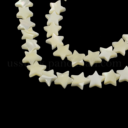 Star Shape Natural Sea Shell Beads Strands US-SSHEL-F290-18A-1