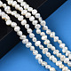 Natural Cultured Freshwater Pearl Beads Strands US-PEAR-N014-04A-6